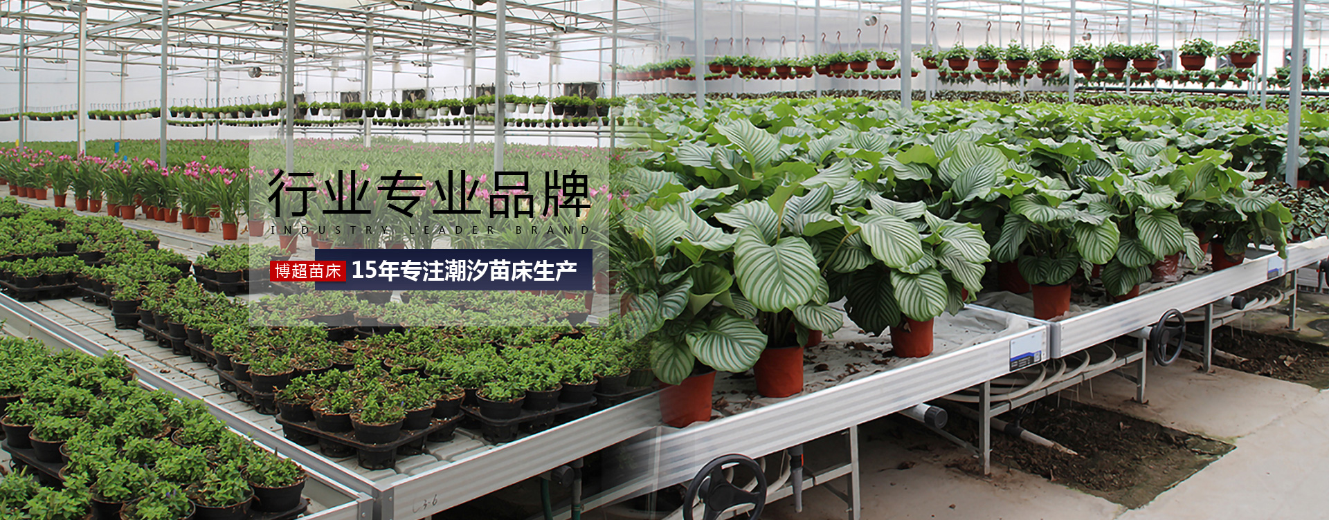 Դ䓹޹˾